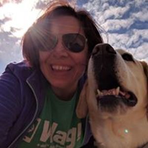 dragonflygirl avatar