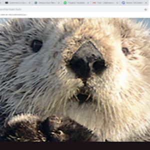 andrewthomas_1 avatar