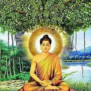 fransiskus_tetuko avatar