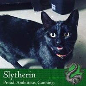 purplelamborghini31 avatar