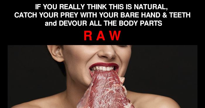 Vegan Asks People To Try Hunting Animals And Eating Them Raw In Order To See How Unnatural It Is For Humans, Gets Roasted Badly