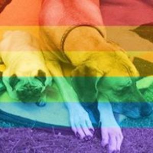 johansson_erika avatar