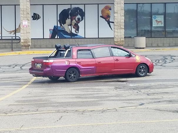 Found This Beauty Today