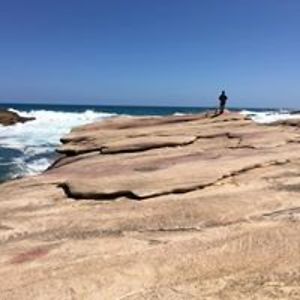 elizabeth_dohnt avatar