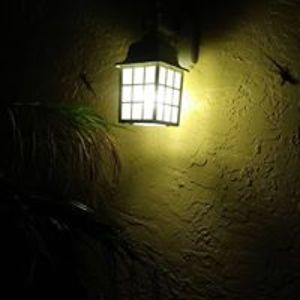 william_d_emilio_jr avatar