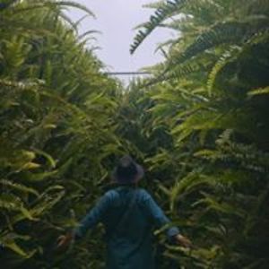 dandelion7795 avatar