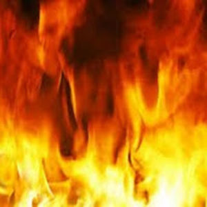 reyahfredrickson avatar