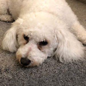 stuffsloweddown avatar