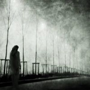 jackdanielsinapapercup avatar