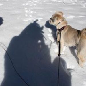 ninjakitty123461 avatar