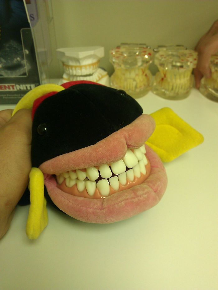 Creepy-Educational-Dentist-Toys