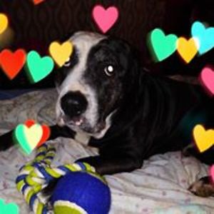 thunderboom2670 avatar