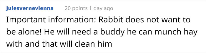 Bunny Owner Explains Why You Shouldn't Get One Before Easter Bunny Owner Explains Why You Shouldn't Get One Before Easter