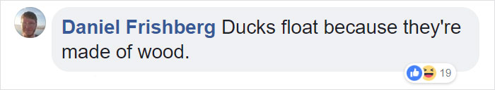 Duckling Gets Raised By An Owl And The Photos Are Adorable