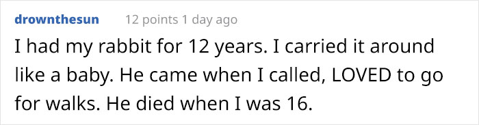 Bunny Owner Explains Why You Shouldn't Get One Before Easter