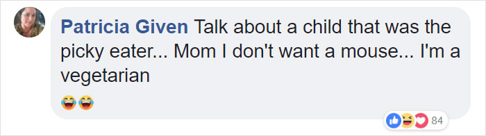 Duckling Gets Raised By An Owl And The Photos Are Adorable Duckling Gets Raised By An Owl And The Photos Are Adorable