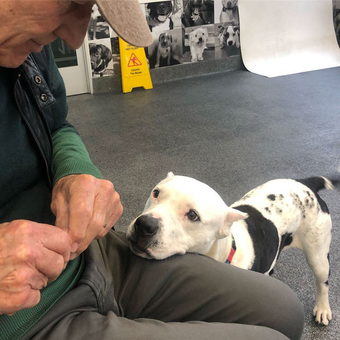 Patrick Stewart Has A New Foster Dog And Their Bond Is Adorable Patrick Stewart Has A New Foster Dog And Their Bond Is Adorable