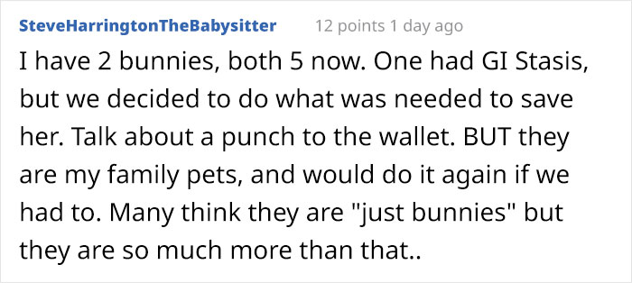 Bunny Owner Explains Why You Shouldn't Get One Before Easter Bunny Owner Explains Why You Shouldn't Get One Before Easter