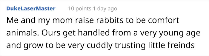 Bunny Owner Explains Why You Shouldn't Get One Before Easter Bunny Owner Explains Why You Shouldn't Get One Before Easter