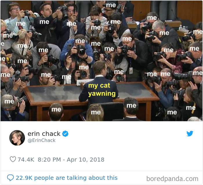 Cat-Tweets