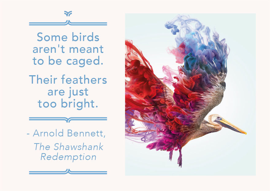 The Shawshank Redemption