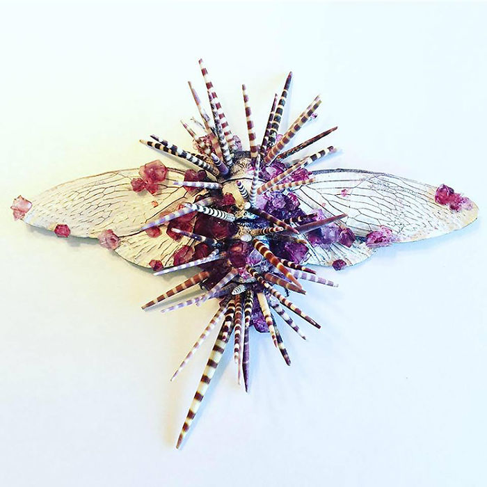 Cicada Art - Defense Mechanism