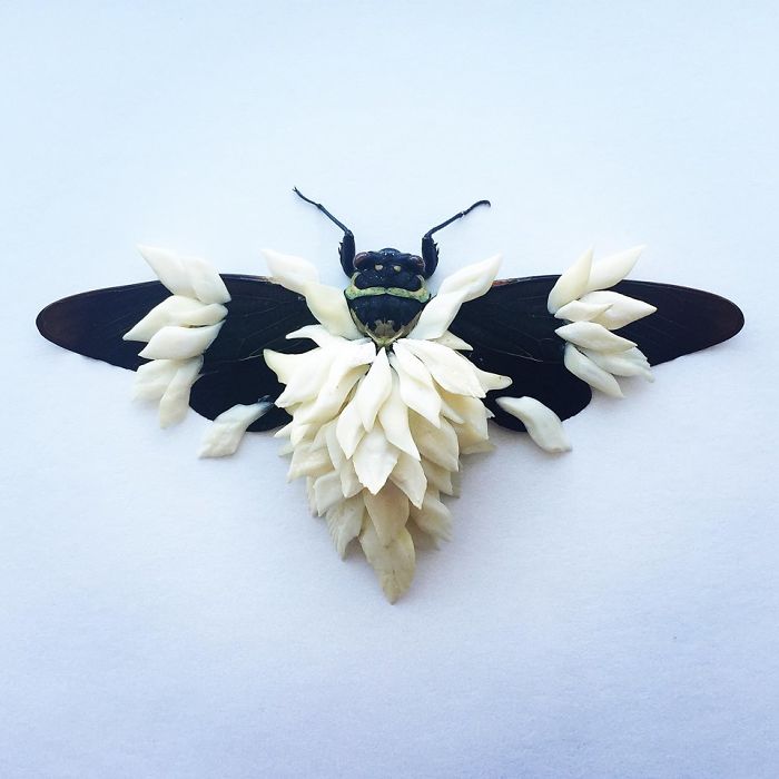 Cicada Art - Body Armour 5