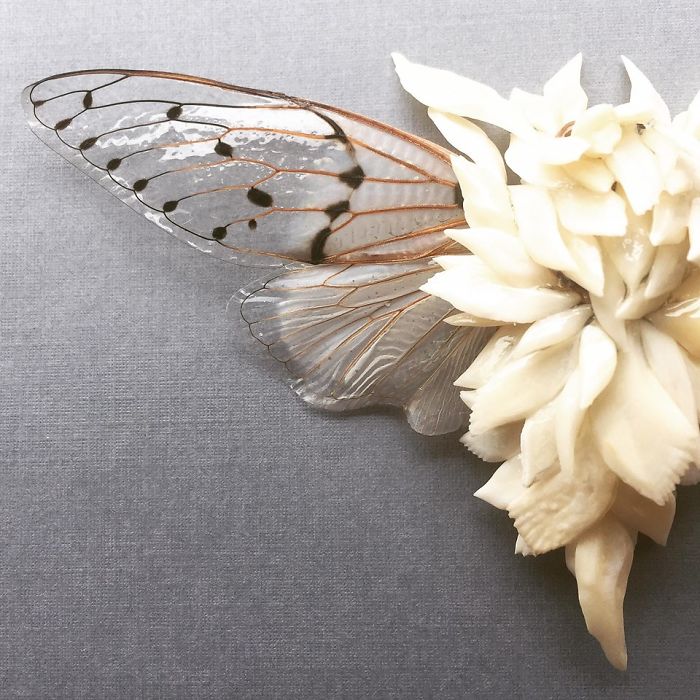 Cicada Art - Body Armour 6