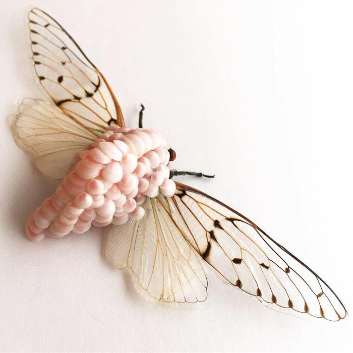 Cicada Art - Body Armour 8