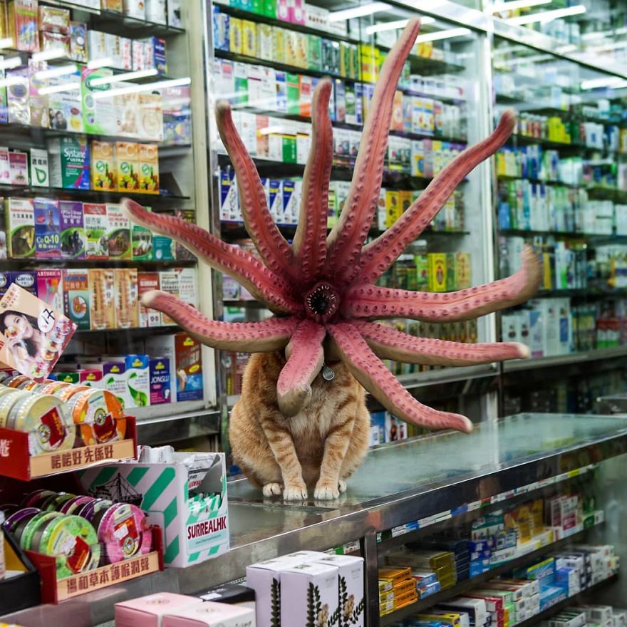 Don't You Dare Leave Without Paying