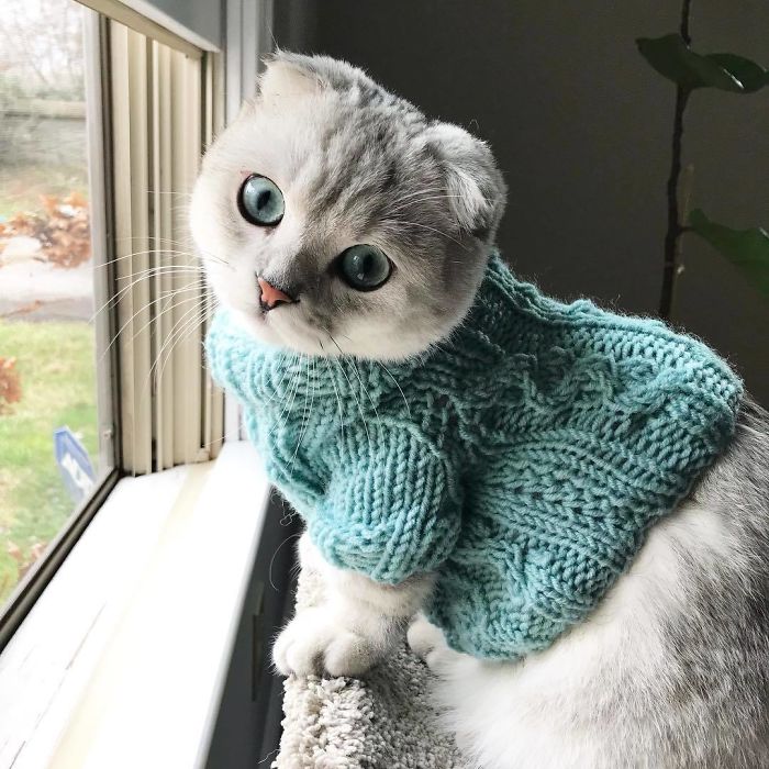 Amazing Sweater That Matches His Eyes