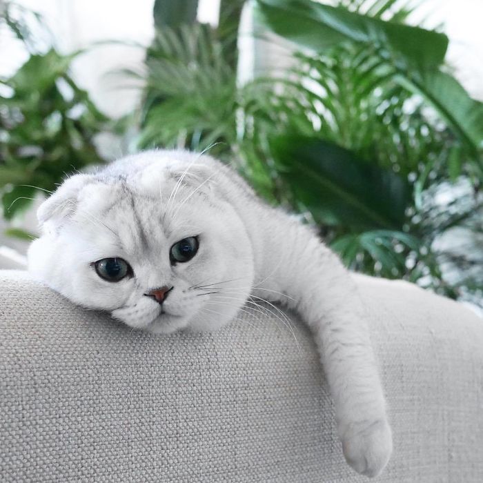 Never Underestimate The Importance Of Unwinding