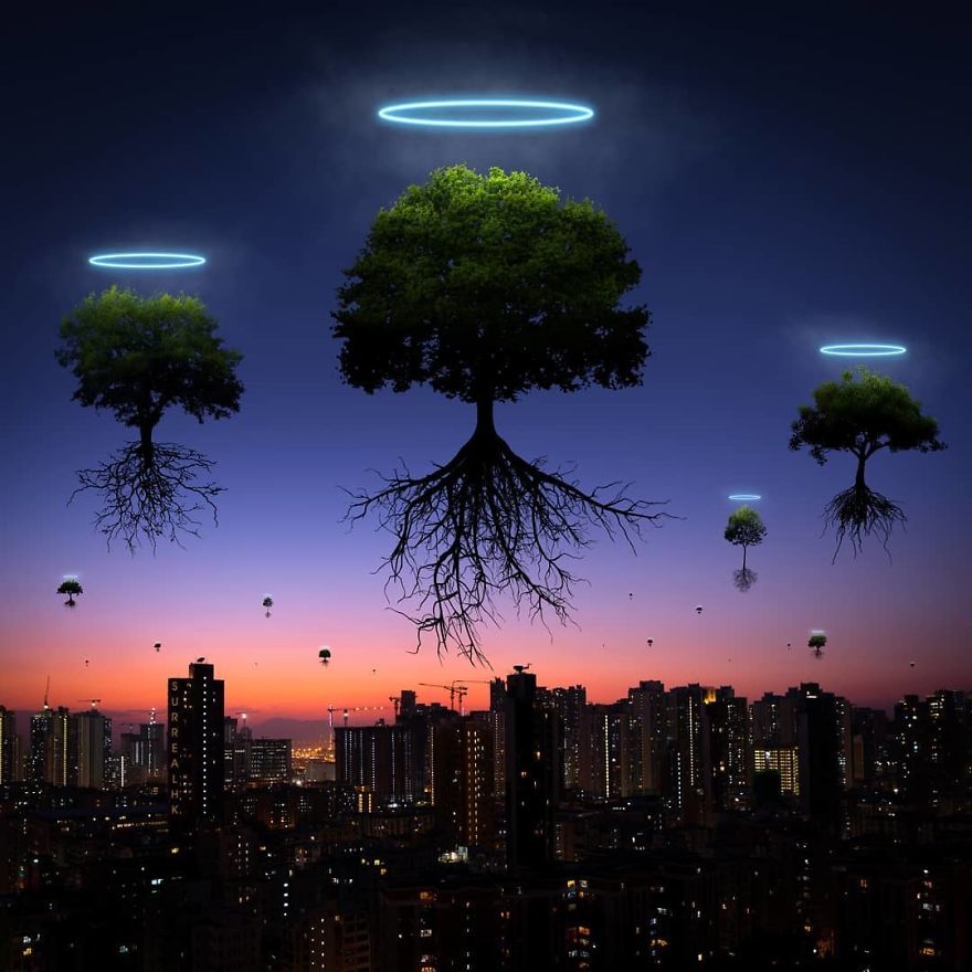 The Super Typhoon Mangkhut Is Gone, So Are 15000 Trees (At Least)