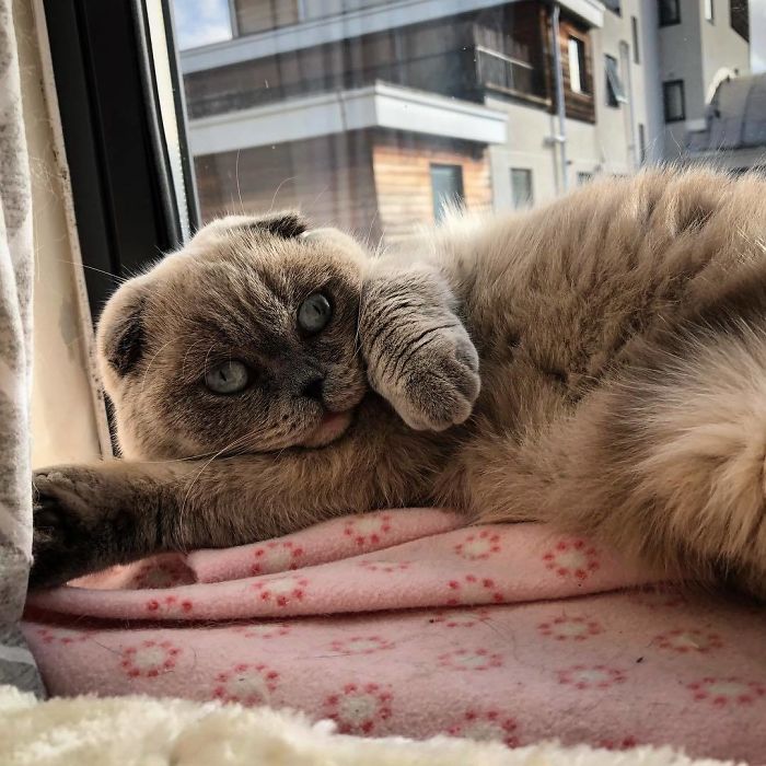 "Draw Me Like One Of Your French Cats"