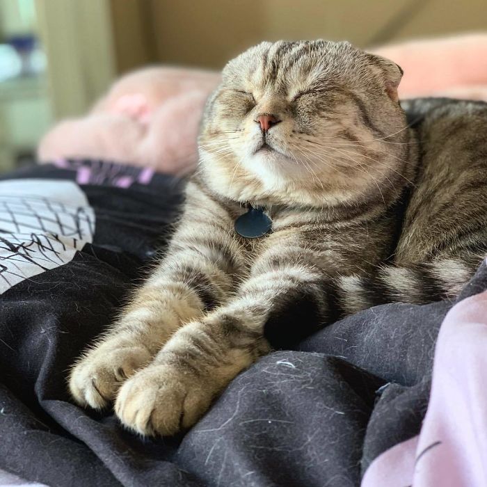 When You're So Done With The Week And Then Realize It’s Only Wednesday