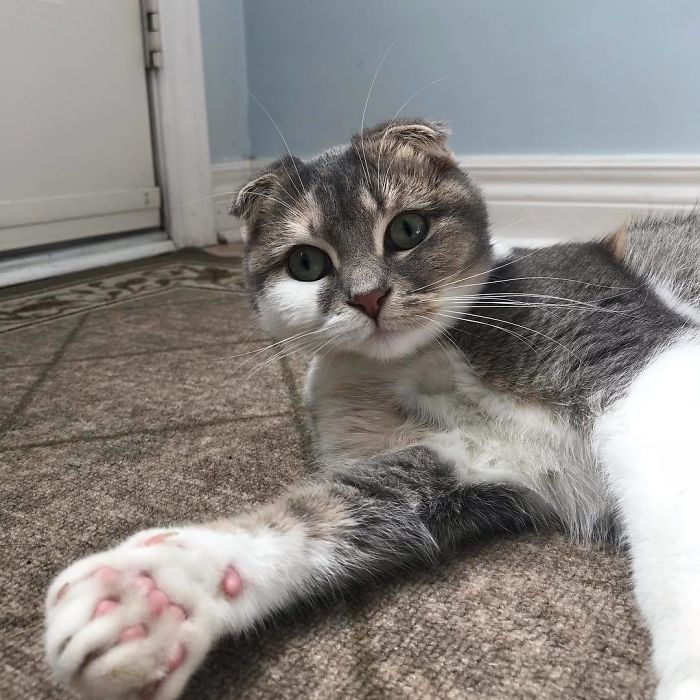 "Oh! Let Me Take A Quick Snapcat"