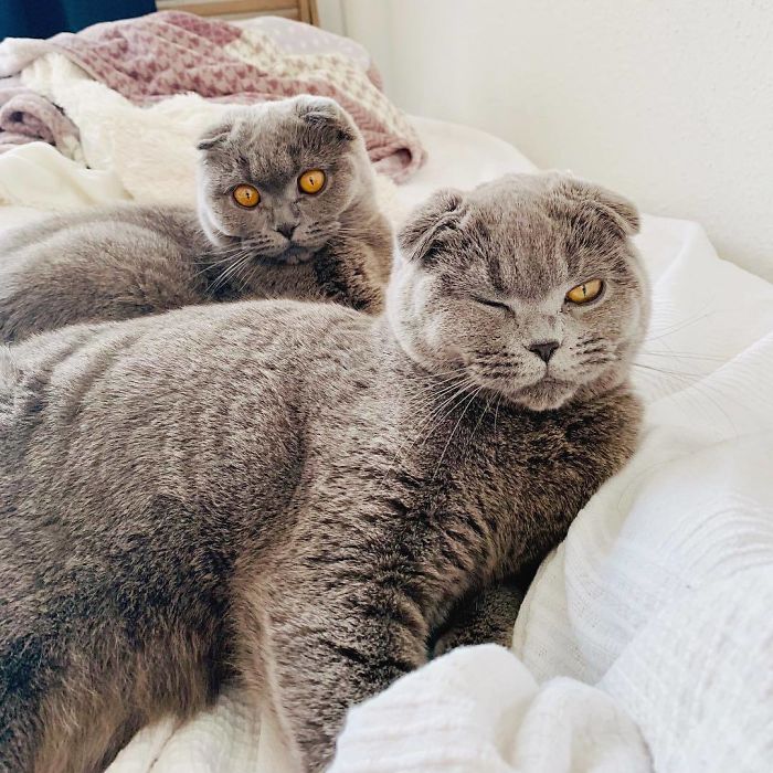 They Both Are Very Lovely