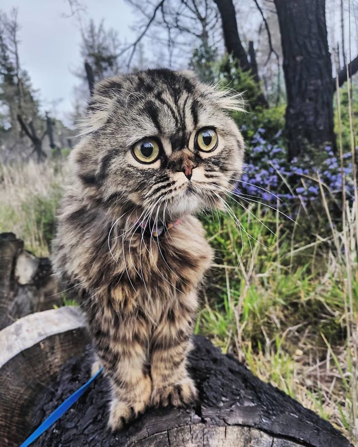 "Who Wants To Take A Nature Walk With Me?"