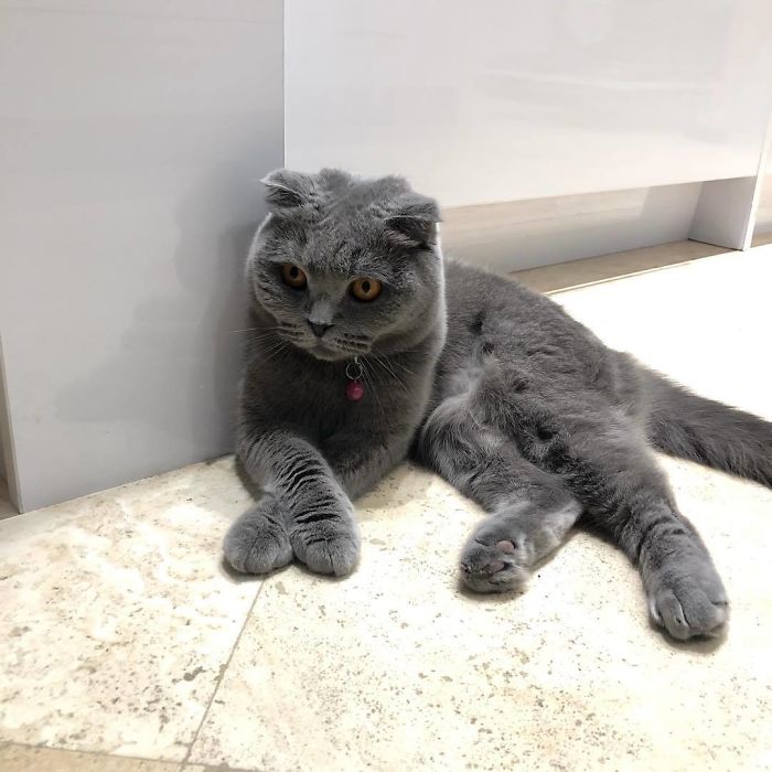 "Just Waiting For My Dinner"