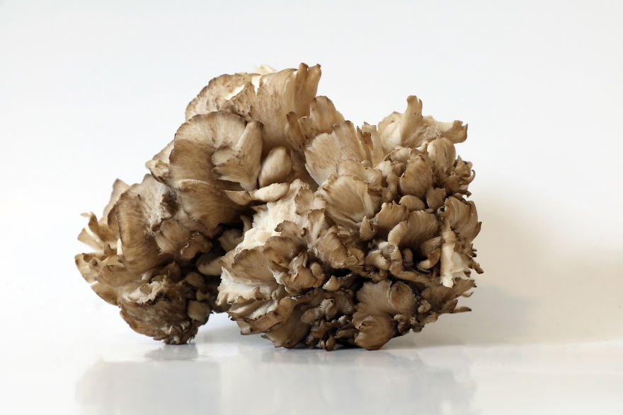 Coral Reefs Or Broccoli?