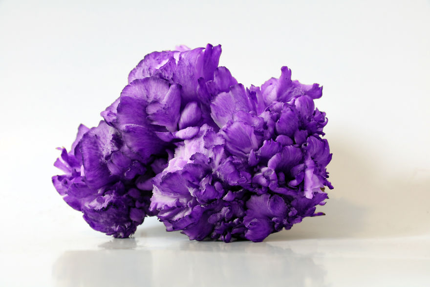 Coral Reefs Or Broccoli?