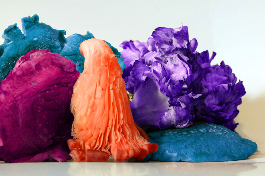 Coral Reefs Or Broccoli?