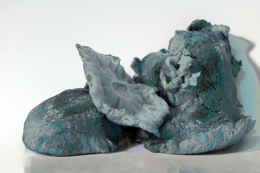 Coral Reefs Or Broccoli?