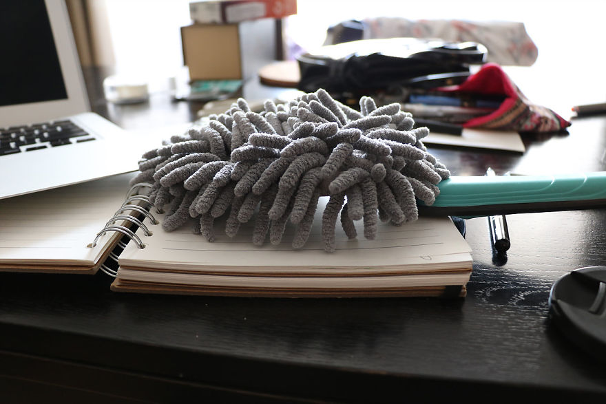 Coral Reefs Or Broccoli?