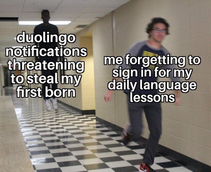 Two people running in a hallway, with text about Duolingo memes and daily language lesson reminders.
