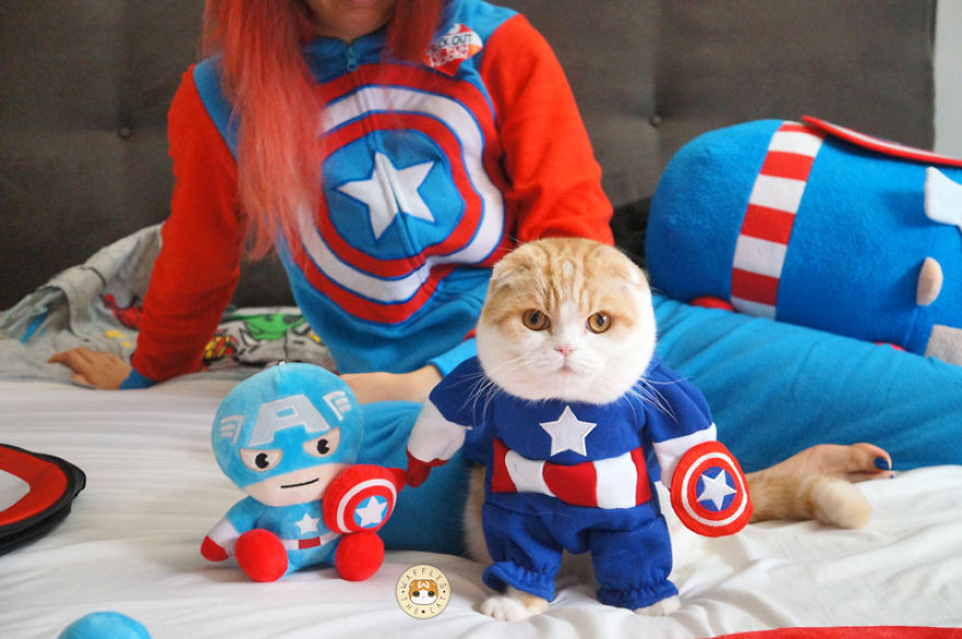 Captain Ameowrica