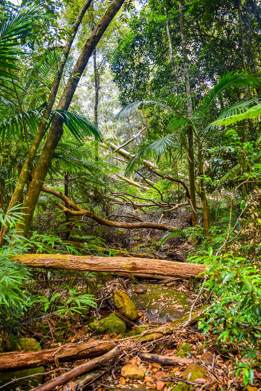 My Road Trip Along The Australian East Coast Part Two - Queensland