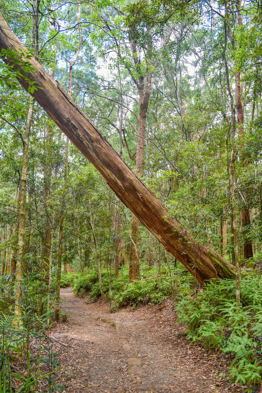 My Road Trip Along The Australian East Coast Part Two - Queensland