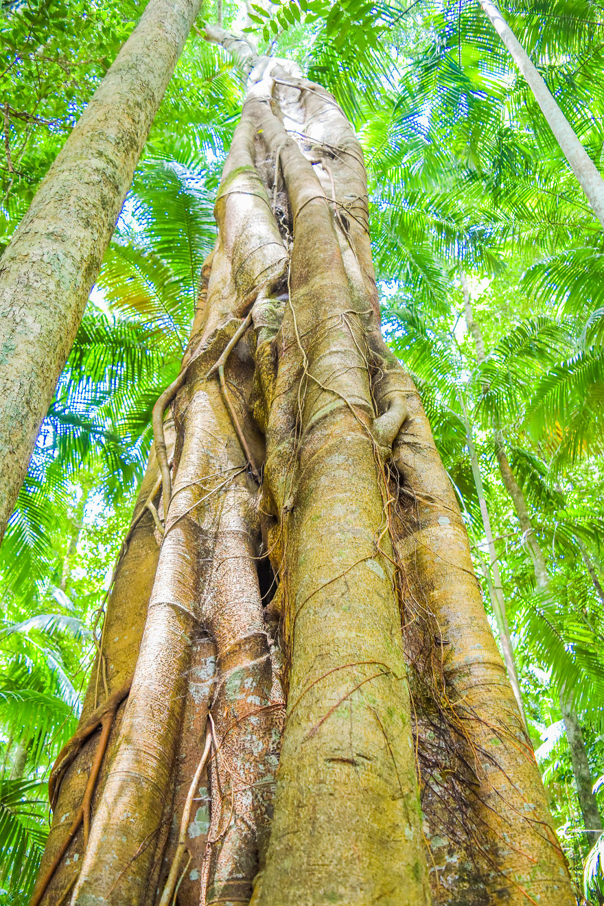 My Road Trip Along The Australian East Coast Part Two - Queensland