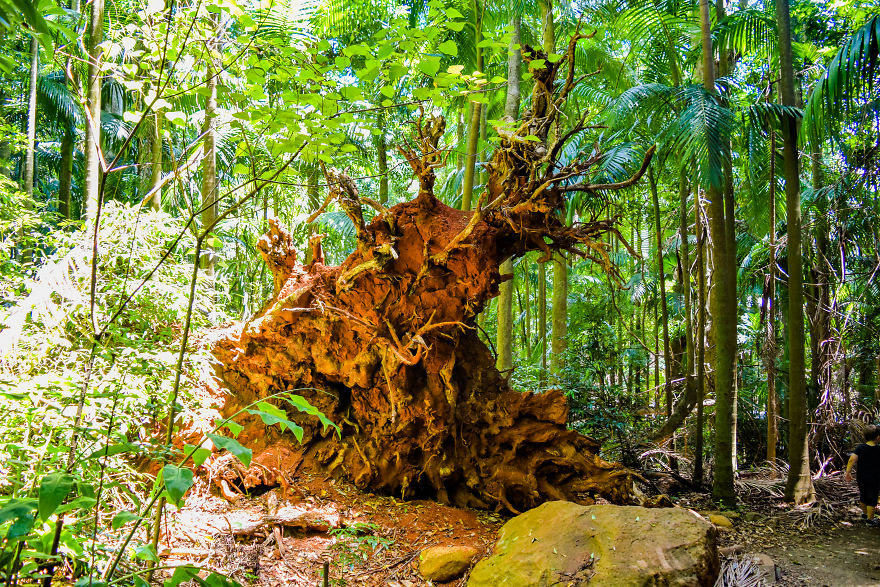 My Road Trip Along The Australian East Coast Part Two - Queensland